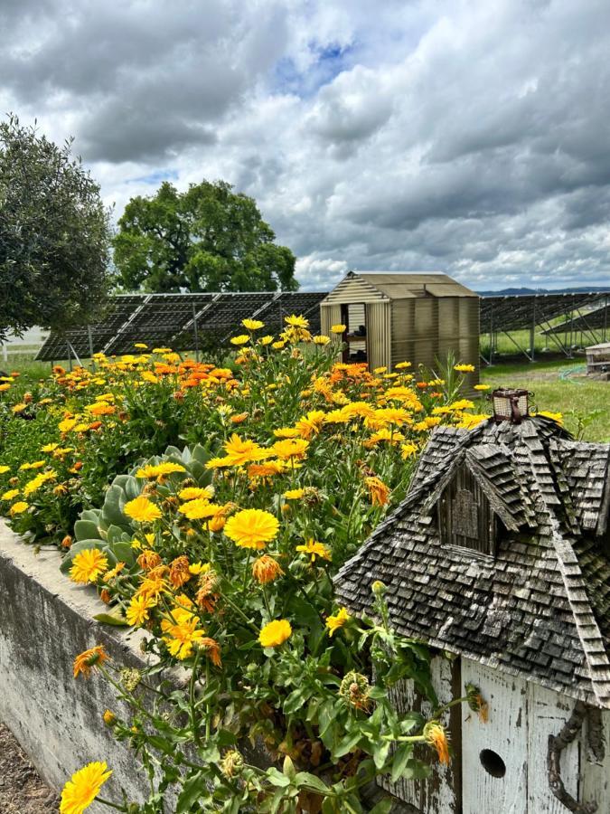 The Gables Wine Country Inn 圣罗莎 外观 照片